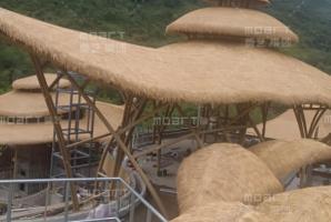 海南保亭縣呀諾達雨林文化旅游區綜合造型木紋漆效果展
